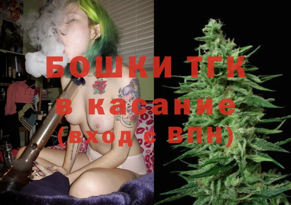 шишки Богородск