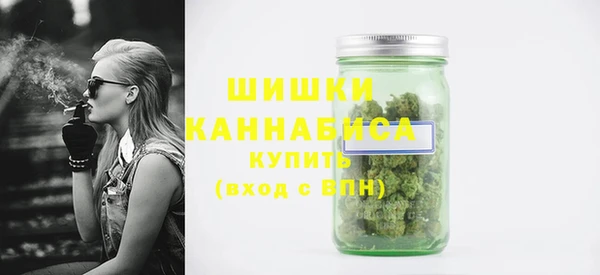 дурь Богородицк