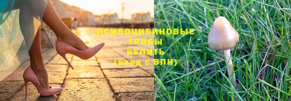 шишки Богородск