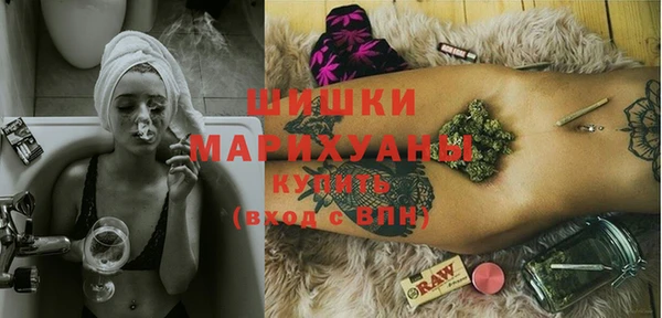 шишки Богородск