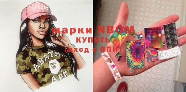 шишки Богородск