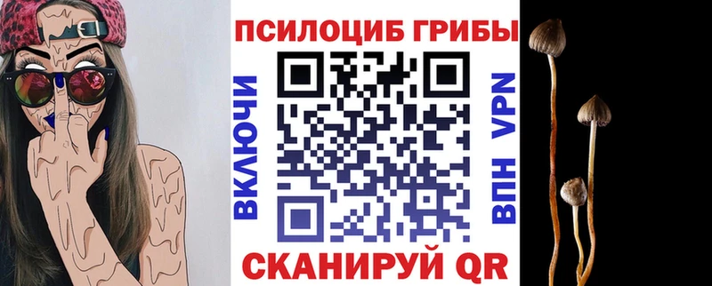 ссылка на мегу как зайти  как найти закладки  Армавир  Псилоцибиновые грибы MAGIC MUSHROOMS 