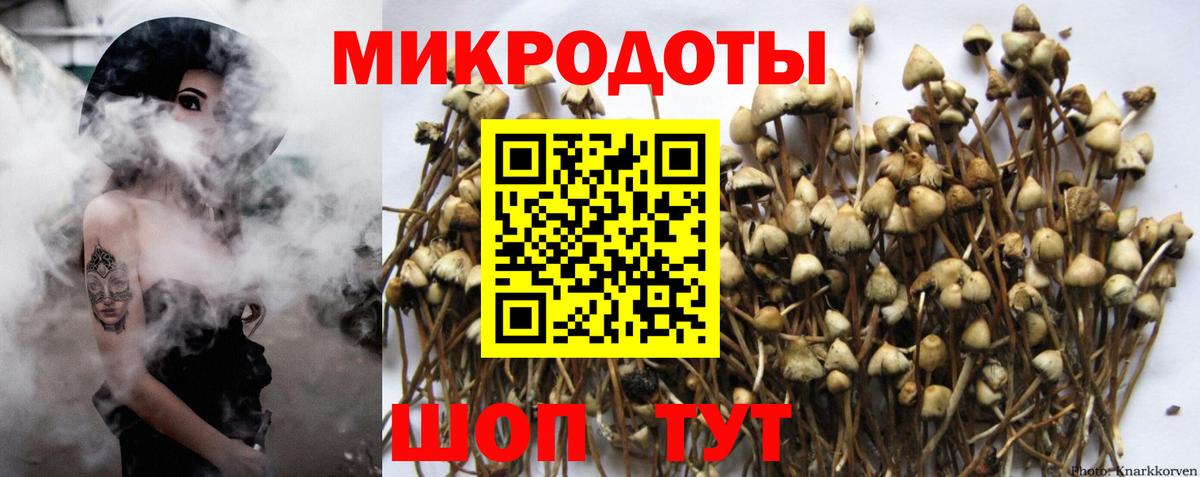 Гашиш  A-PVP СК   Армавир  Вход с VPN  Где купить  Меф МЯУ МЯУ   Канабис  Кокаин  ГАШ 